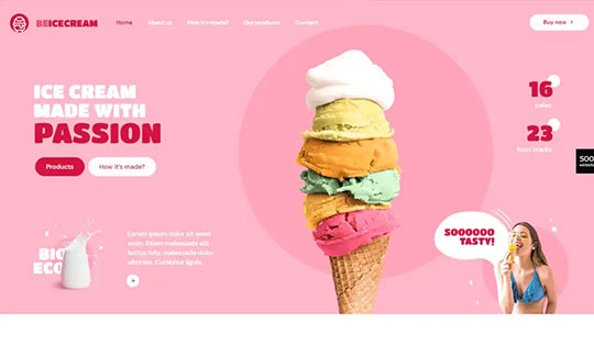 Michilli desktop homepage hero featuring luxury interior and tagline “The precision of passion.”